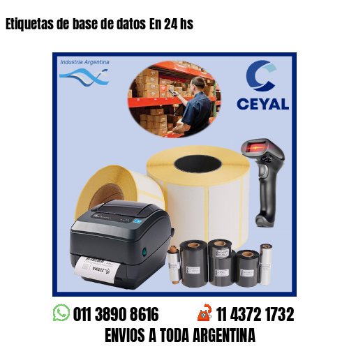 Etiquetas de base de datos En 24 hs