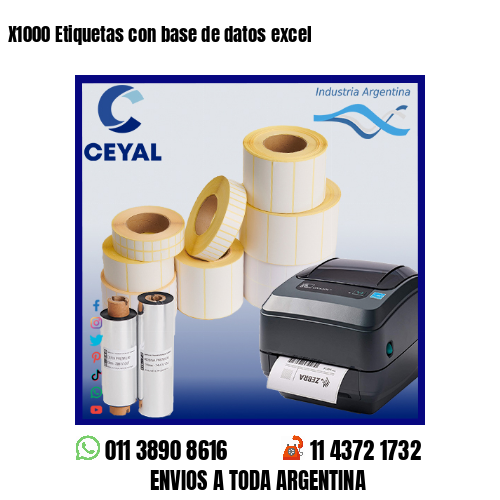 X1000 Etiquetas con base de datos excel