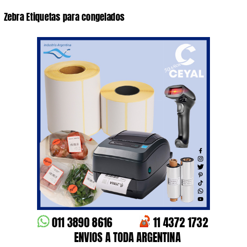Zebra Etiquetas para congelados