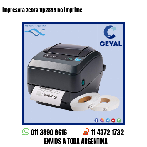 impresora zebra tlp2844 no imprime