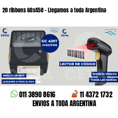 20 ribbons 60x450 - Llegamos a toda Argentina