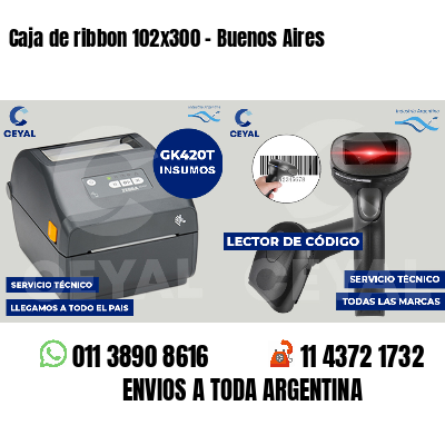 Caja de ribbon 102x300 - Buenos Aires