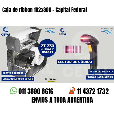 Caja de ribbon 102x300 - Capital Federal