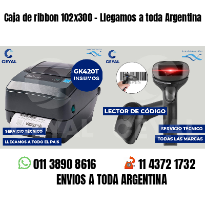 Caja de ribbon 102x300 - Llegamos a toda Argentina