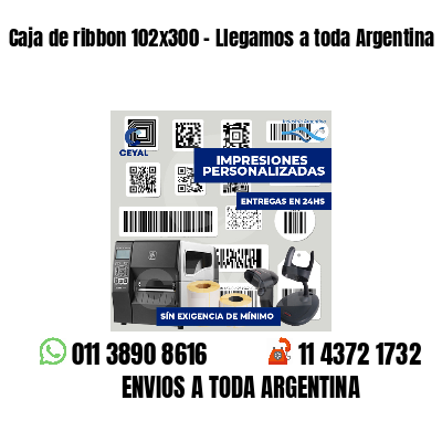 Caja de ribbon 102x300 - Llegamos a toda Argentina