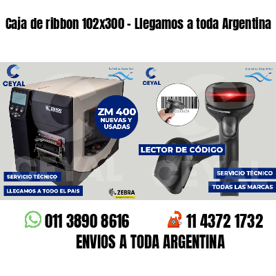 Caja de ribbon 102x300 - Llegamos a toda Argentina