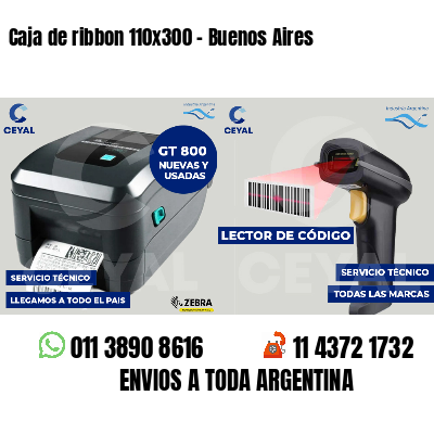 Caja de ribbon 110x300 - Buenos Aires
