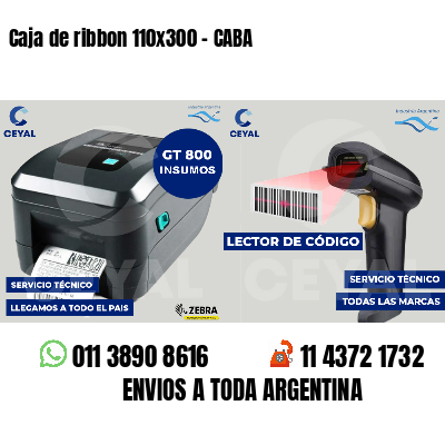 Caja de ribbon 110x300 - CABA