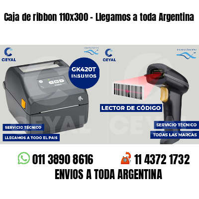 Caja de ribbon 110x300 - Llegamos a toda Argentina