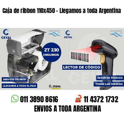 Caja de ribbon 110x450 - Llegamos a toda Argentina