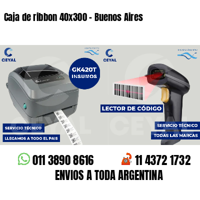 Caja de ribbon 40x300 - Buenos Aires