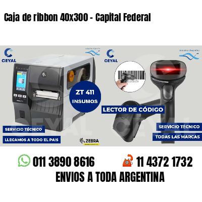 Caja de ribbon 40x300 - Capital Federal