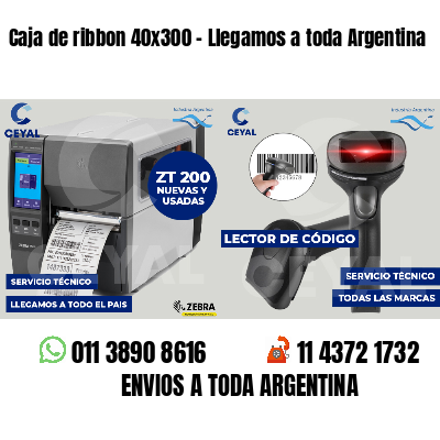 Caja de ribbon 40x300 - Llegamos a toda Argentina