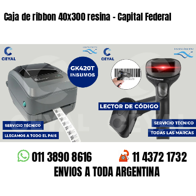 Caja de ribbon 40x300 resina - Capital Federal