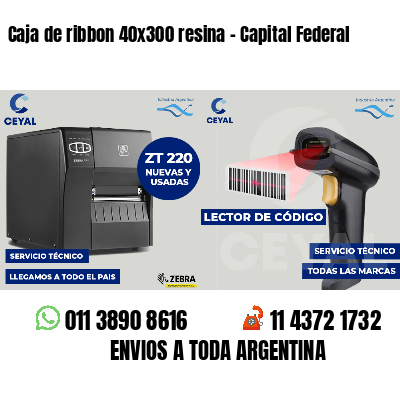 Caja de ribbon 40x300 resina - Capital Federal