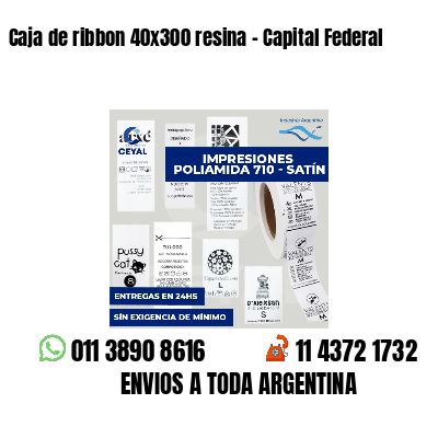 Caja de ribbon 40x300 resina - Capital Federal