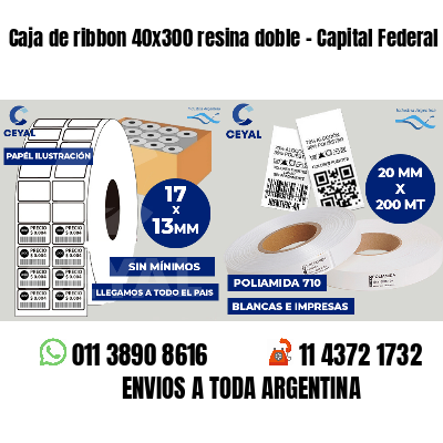 Caja de ribbon 40x300 resina doble - Capital Federal