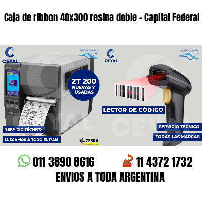 Caja de ribbon 40x300 resina doble - Capital Federal