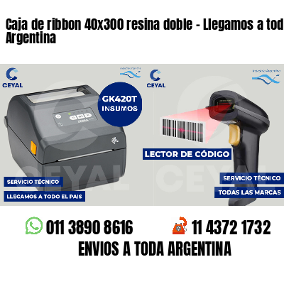 Caja de ribbon 40x300 resina doble - Llegamos a toda Argentina