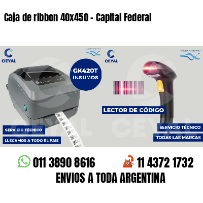 Caja de ribbon 40x450 - Capital Federal