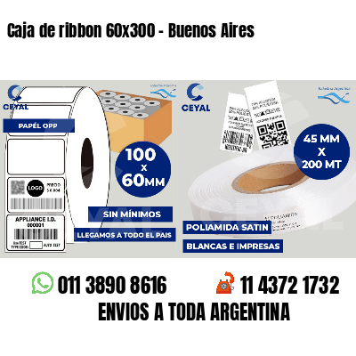Caja de ribbon 60x300 - Buenos Aires
