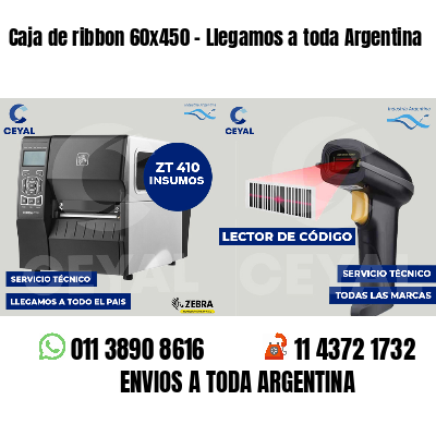 Caja de ribbon 60x450 - Llegamos a toda Argentina