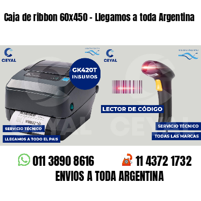Caja de ribbon 60x450 - Llegamos a toda Argentina