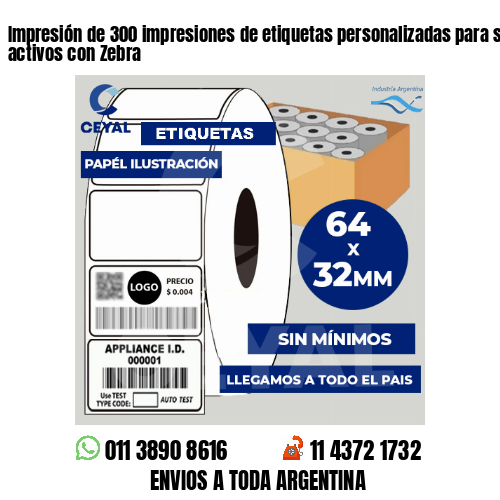 Impresión de 300 impresiones de etiquetas personalizadas para seguimiento de activos con Zebra
