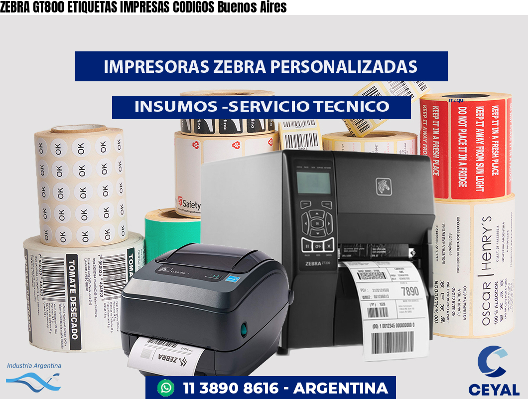 ZEBRA GT800 ETIQUETAS IMPRESAS CODIGOS Buenos Aires