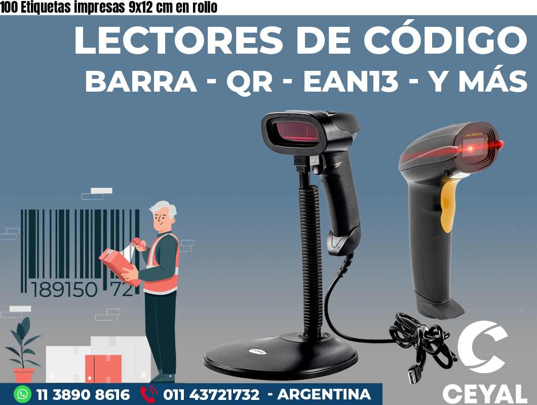 100 Etiquetas impresas 9x12 cm en rollo