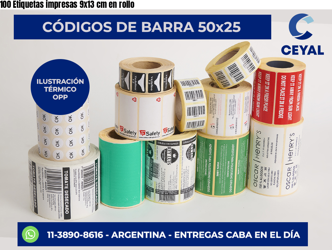 100 Etiquetas impresas 9×13 cm en rollo