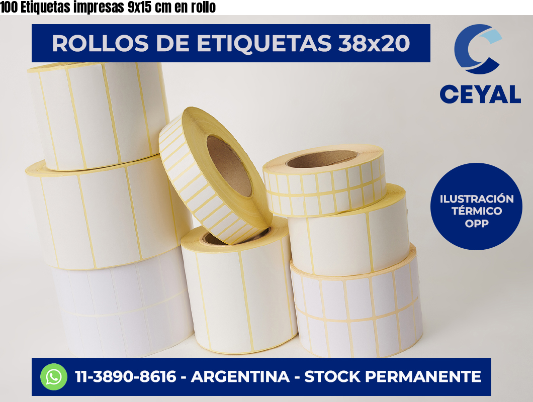 100 Etiquetas impresas 9×15 cm en rollo