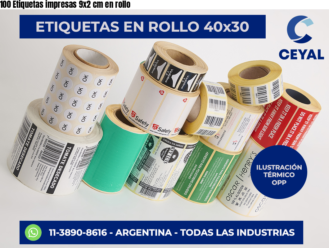 100 Etiquetas impresas 9×2 cm en rollo