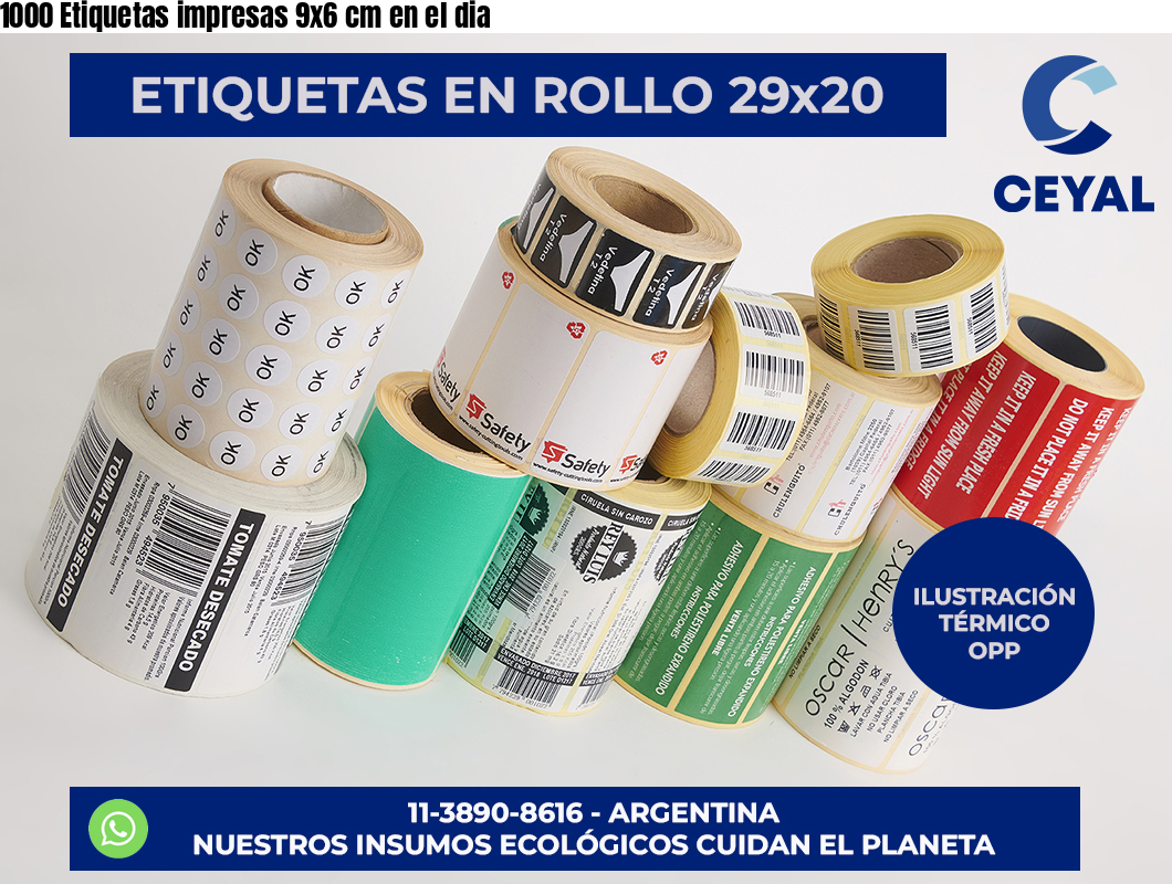1000 Etiquetas impresas 9×6 cm en el dia