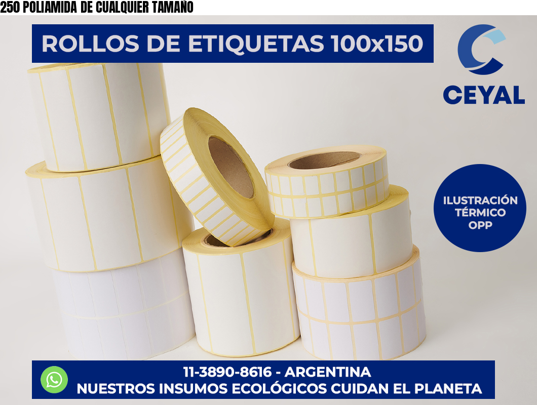 250 POLIAMIDA DE CUALQUIER TAMAÑO