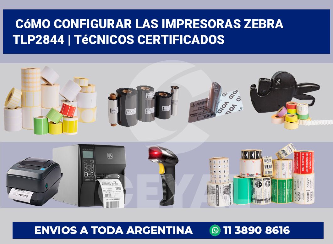 Cómo configurar las impresoras Zebra TLP2844 | Técnicos certificados