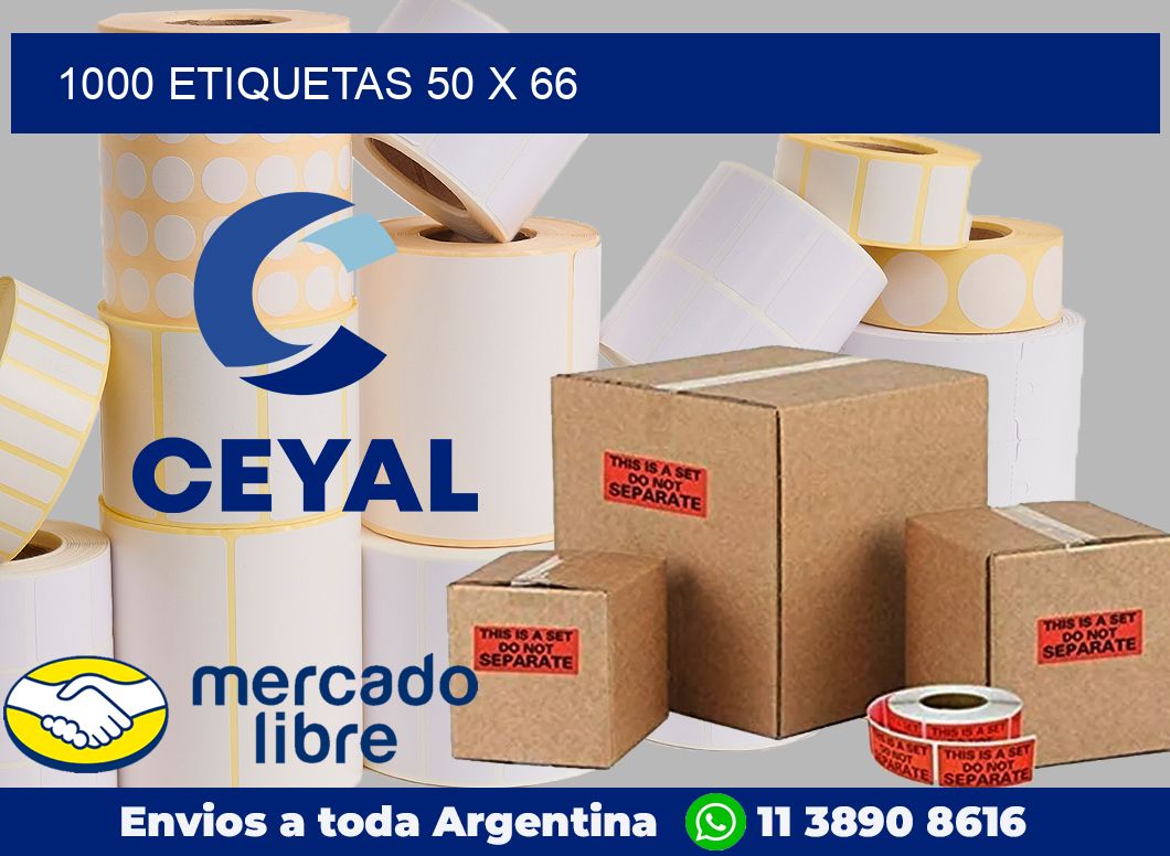 1000 etiquetas 50 x 66