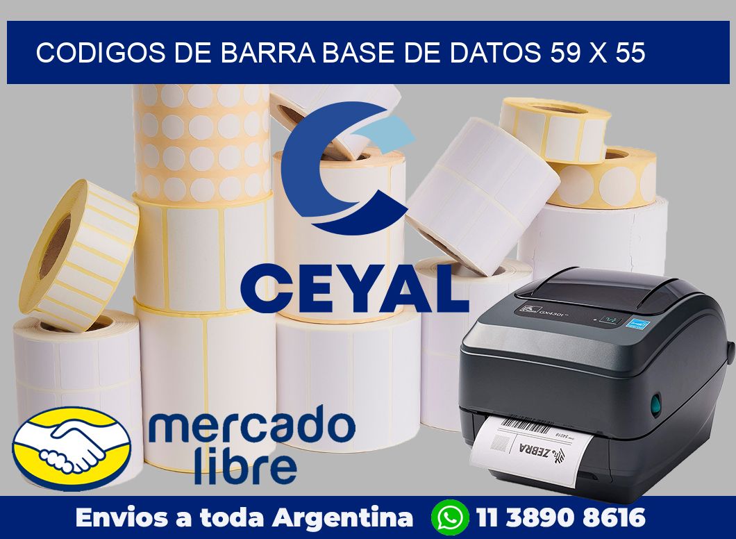 Codigos de barra base de datos 59 x 55