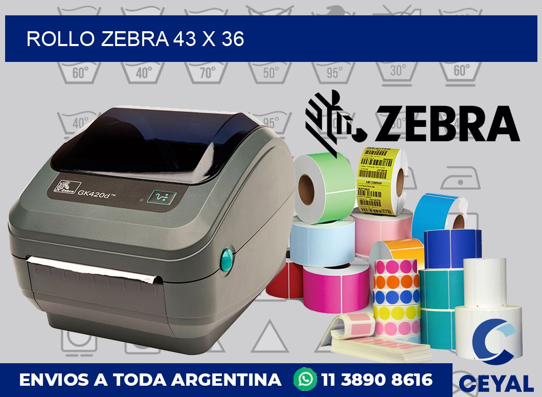 rollo zebra 43 x 36