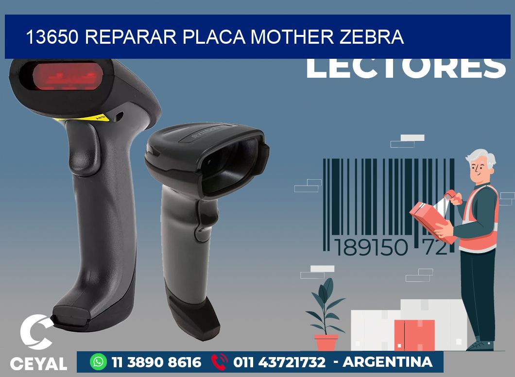 13650 REPARAR PLACA MOTHER ZEBRA