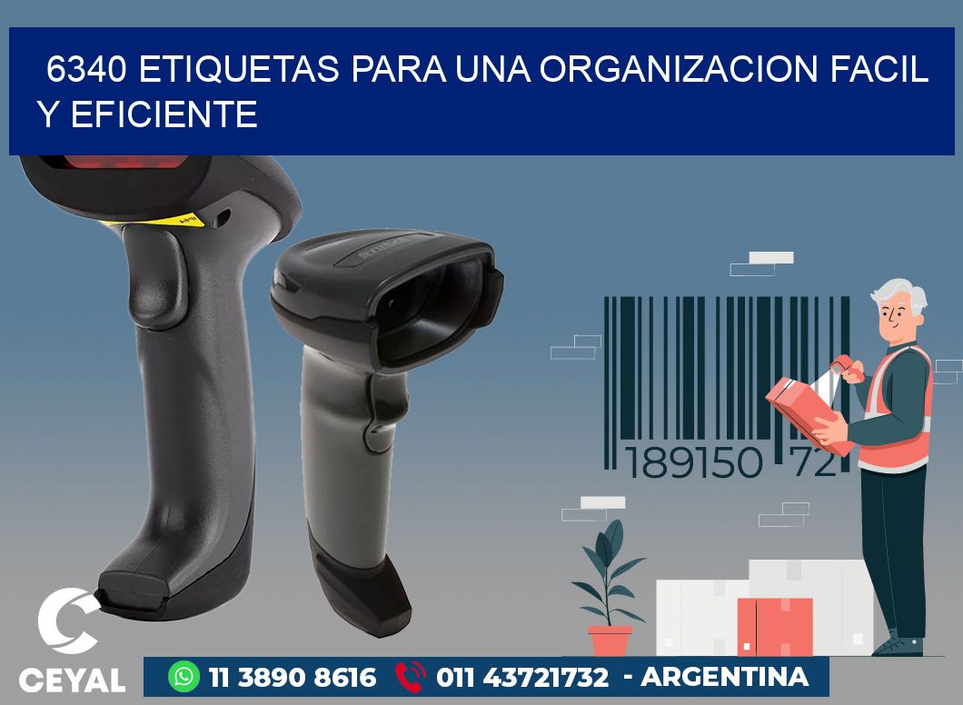 6340 ETIQUETAS PARA UNA ORGANIZACION FACIL Y EFICIENTE