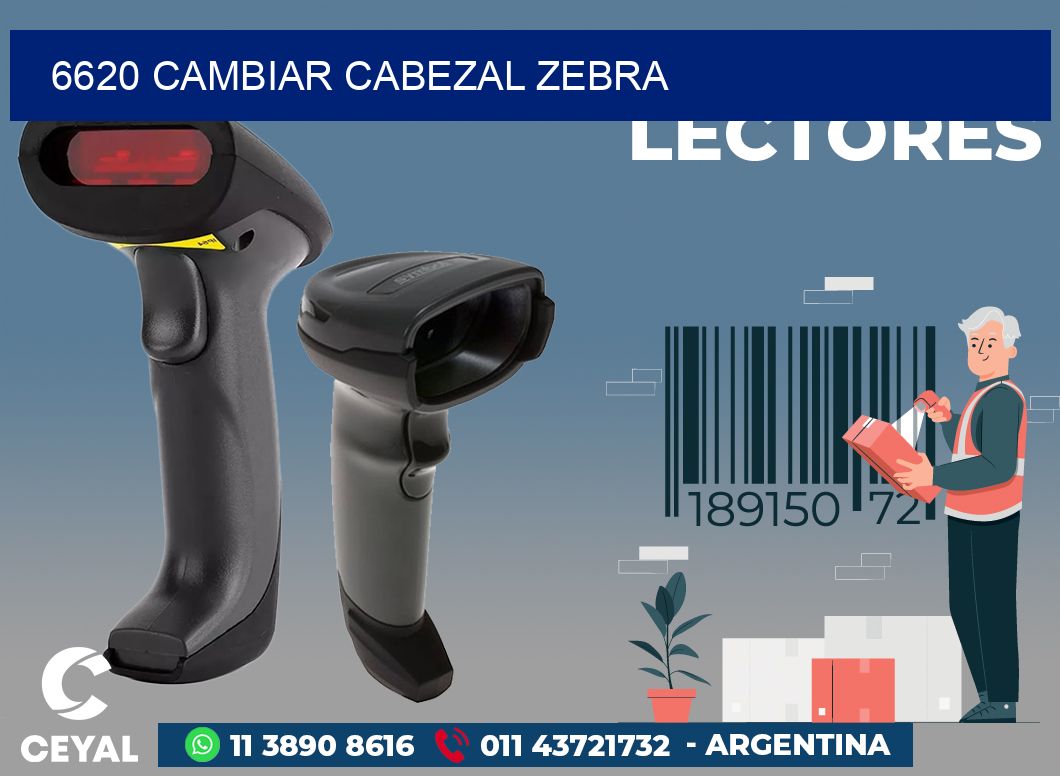 6620 CAMBIAR CABEZAL ZEBRA