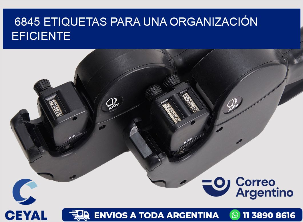 6845 ETIQUETAS PARA UNA ORGANIZACIÓN EFICIENTE