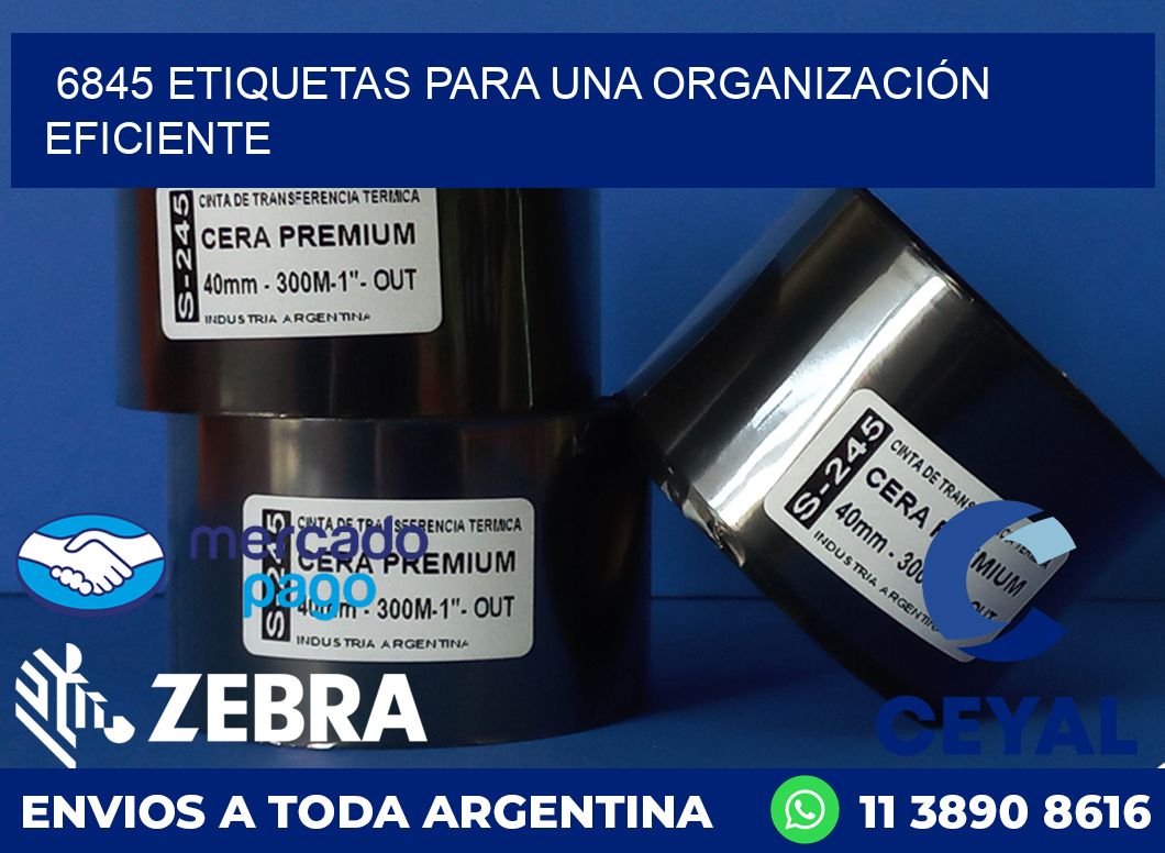 6845 ETIQUETAS PARA UNA ORGANIZACIÓN EFICIENTE