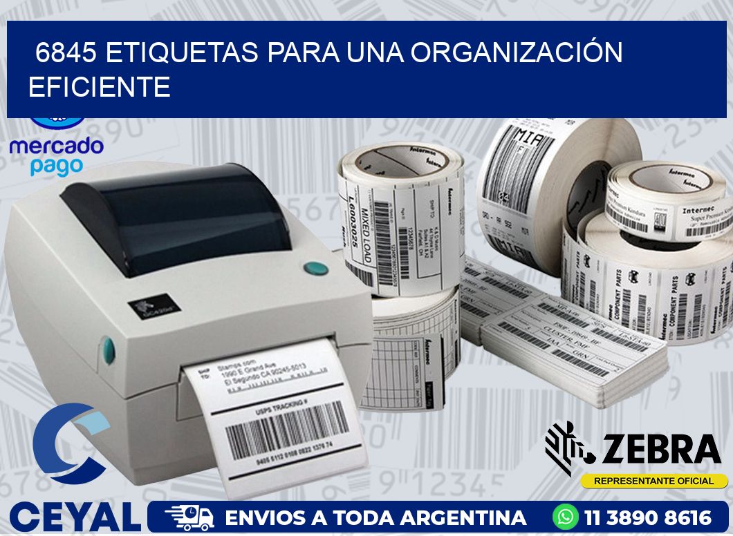 6845 ETIQUETAS PARA UNA ORGANIZACIÓN EFICIENTE