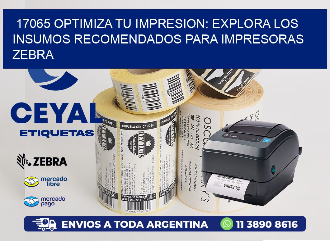 17065 OPTIMIZA TU IMPRESION: EXPLORA LOS INSUMOS RECOMENDADOS PARA IMPRESORAS ZEBRA