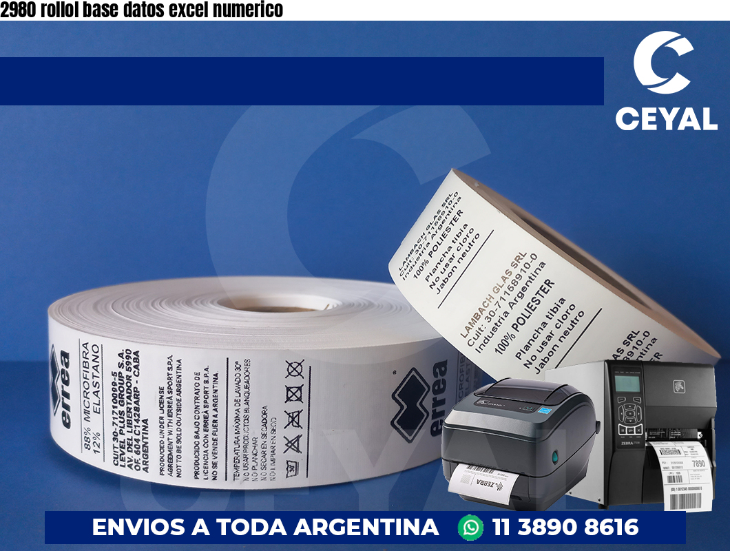 2980 rollol base datos excel numerico