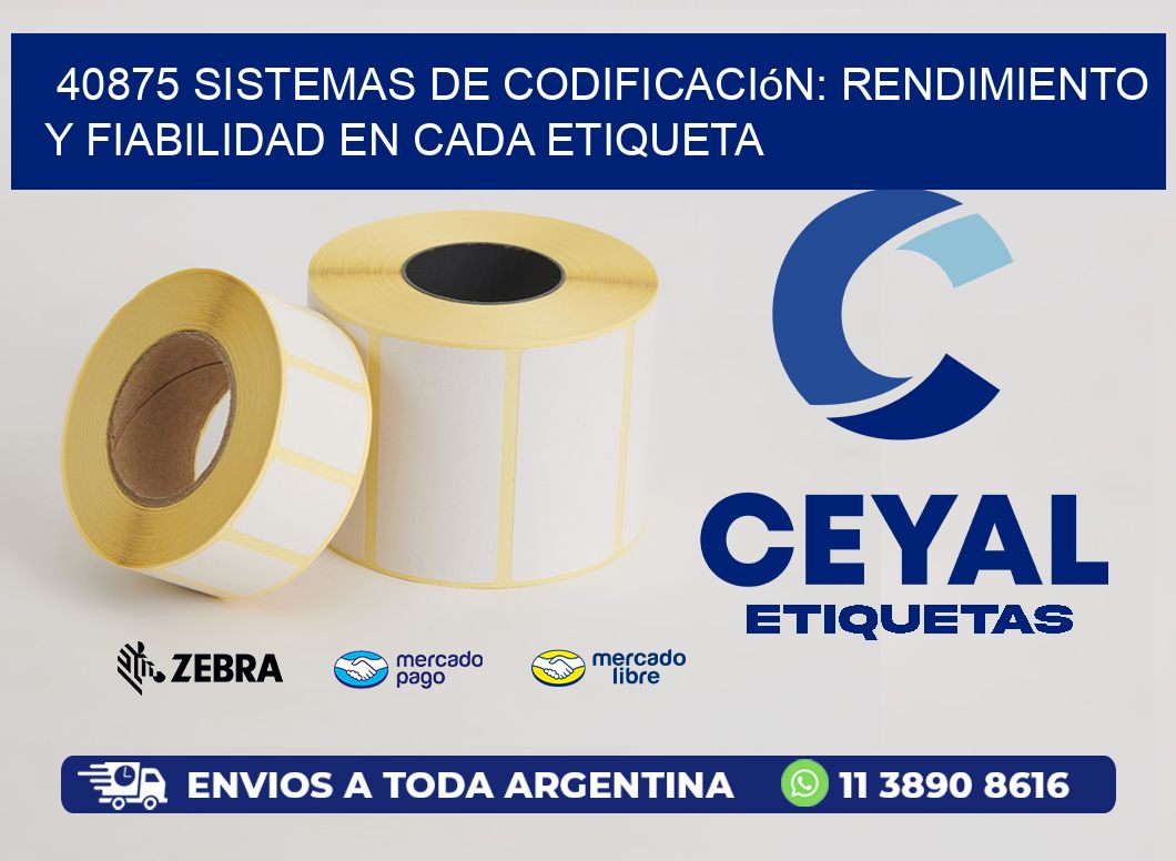 40875 Sistemas de Codificación: Rendimiento y Fiabilidad en Cada Etiqueta