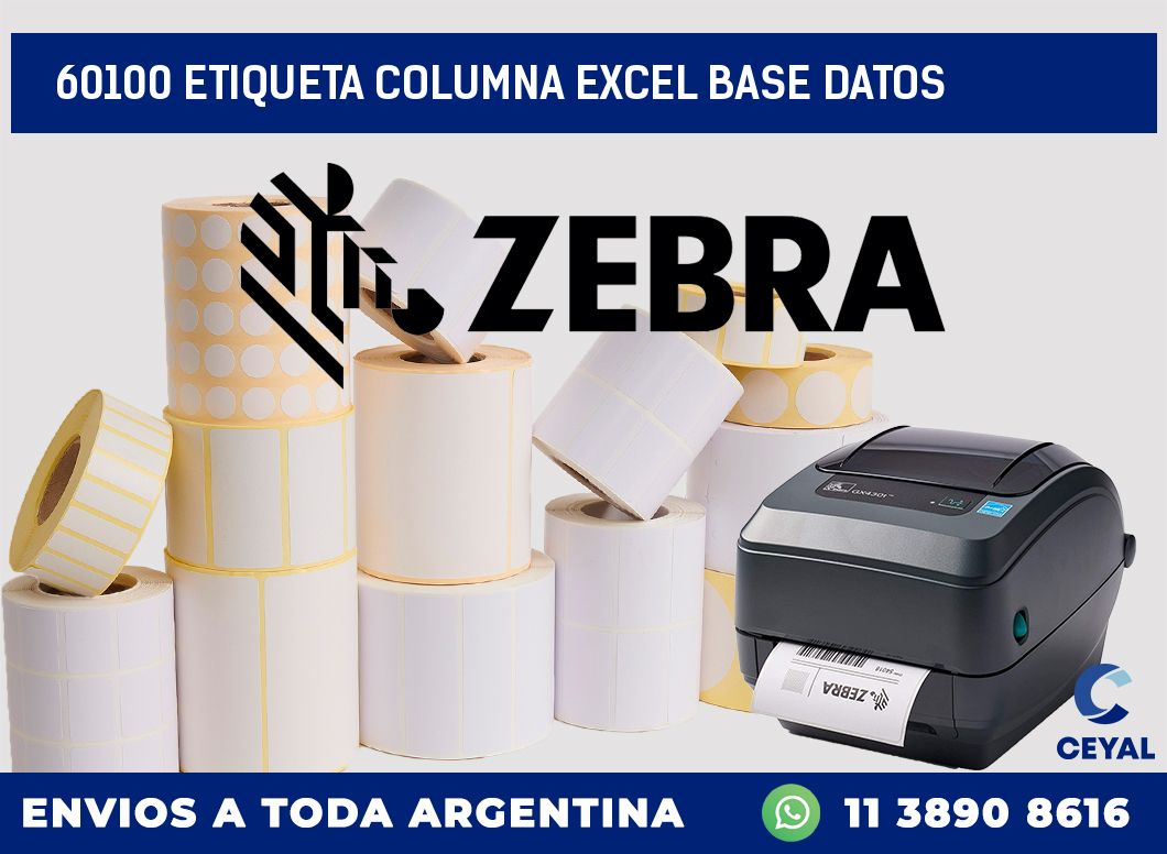 60100 etiqueta columna excel base datos