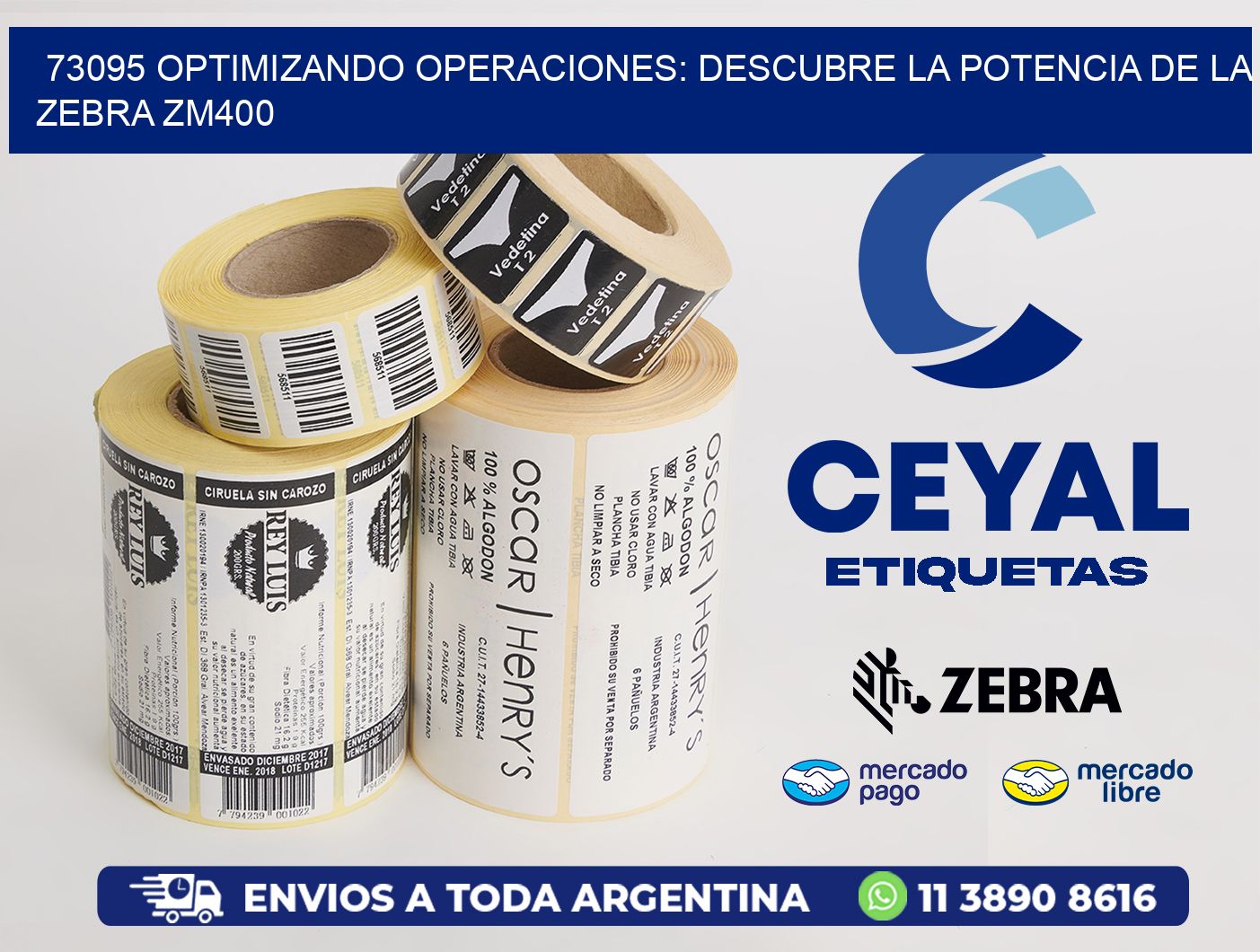 73095 optimizando Operaciones: Descubre la Potencia de la Zebra ZM400